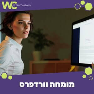 מומחה וורדפרס עם ניסיון עשיר ליצירת חוויית משתמש מעולה